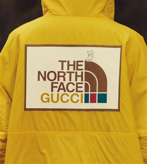 norce face gucci|north face gucci shop online.